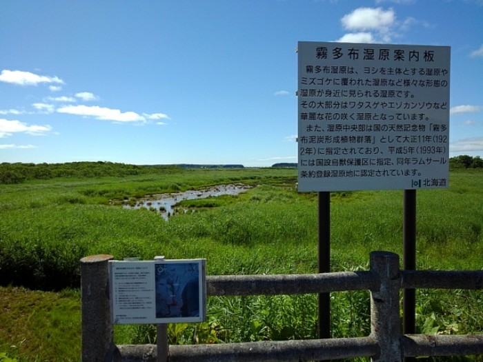 MGロード　(その2)