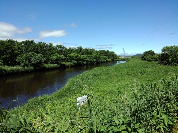 釧路川