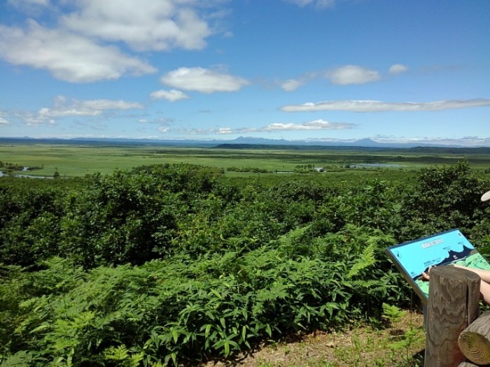 釧路湿原　(その2)