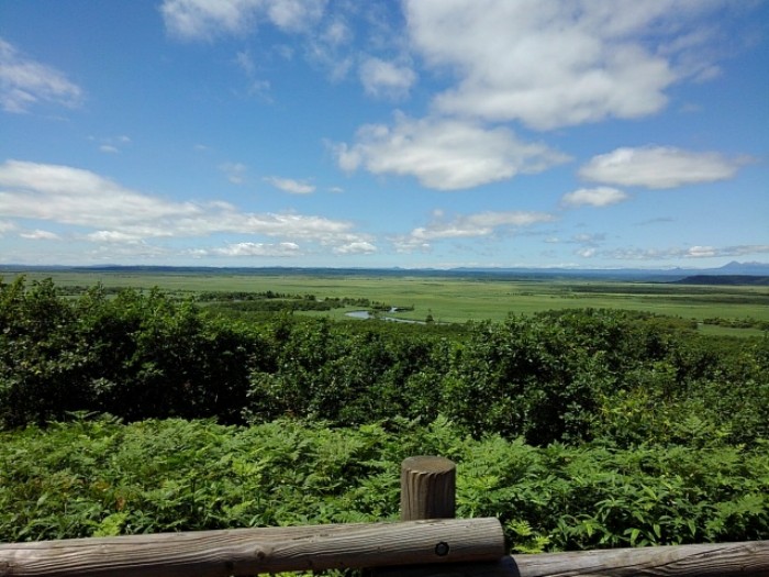 釧路湿原　(その3)