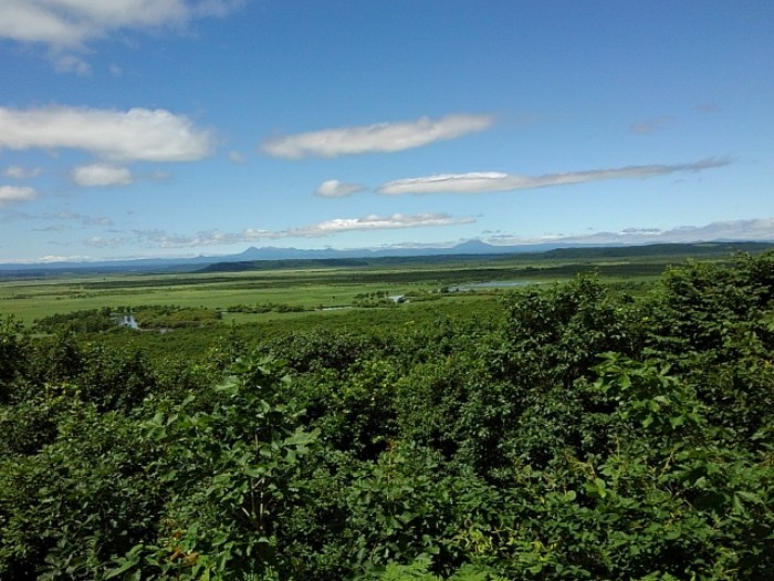 釧路湿原　(その3)