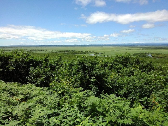 釧路湿原　(その4)