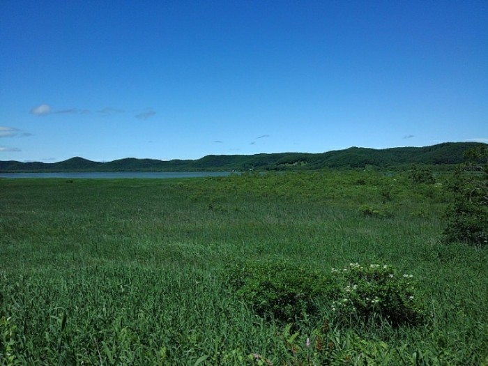 釧路湿原　(その6)