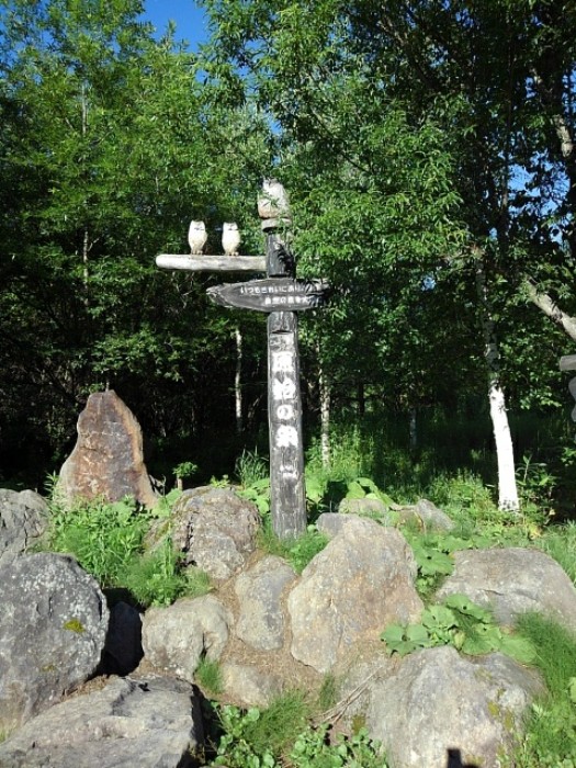 原始の泉　(その1)