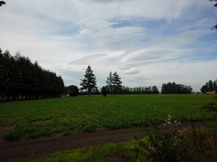 幸福駅　(その2)