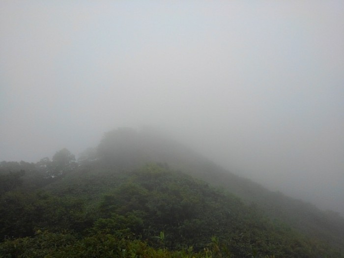 山頂まで　(その2)