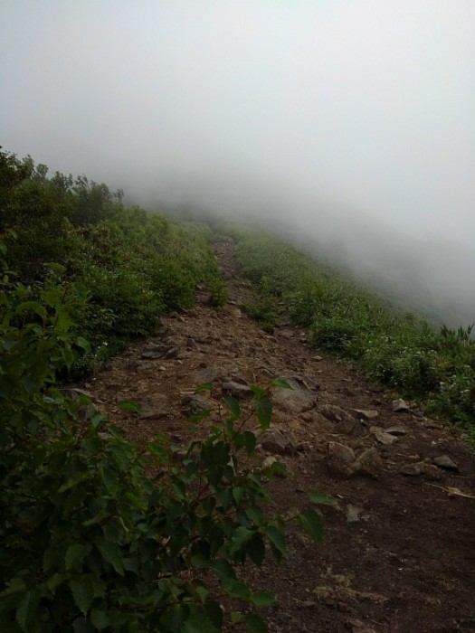 山頂まで　(その5)