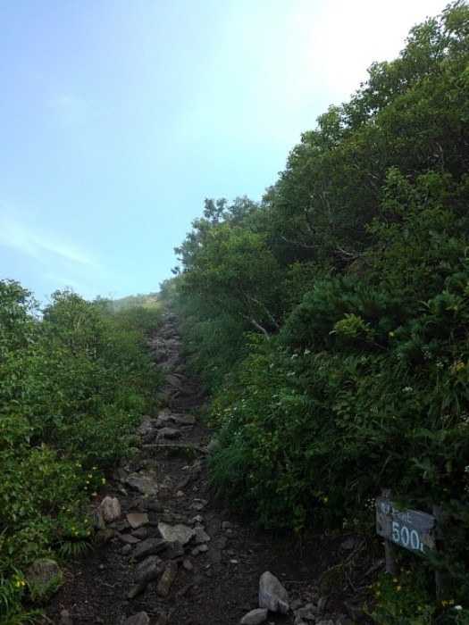 山頂まで　(その7)