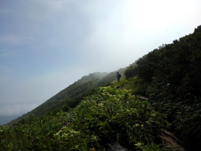 山頂まで　(その9)