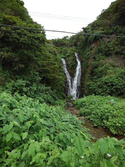 福島町　(その5)