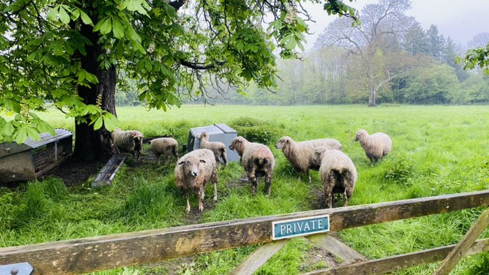 ボートオンザウォーターの朝の散歩で