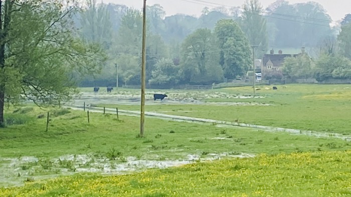 コルン、セント、アルドウィン