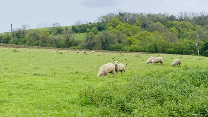 スローターフォード