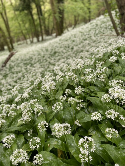 スローターフォード