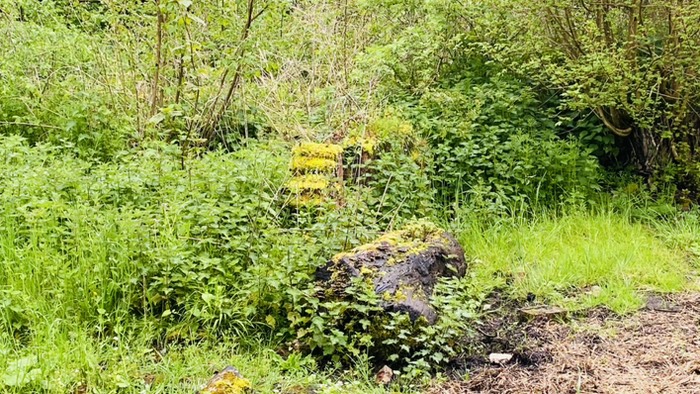 スローターフォード