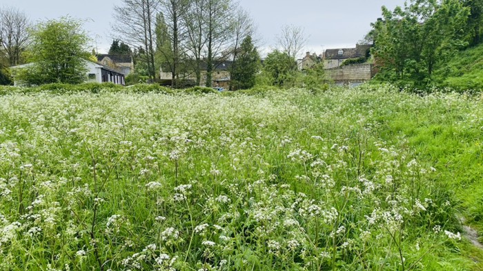 マームズベリー