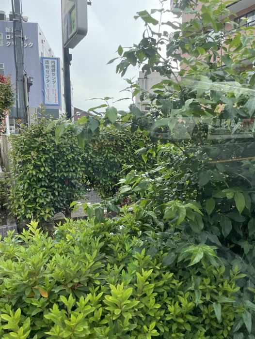 1.コインランドリー