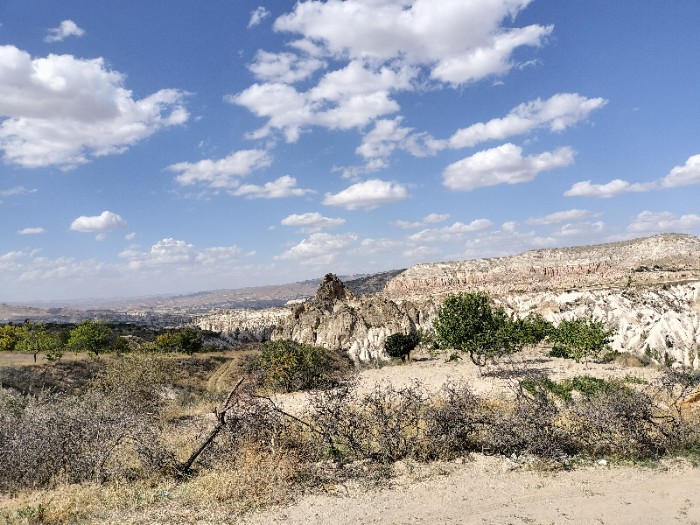 むっちゃキツい坂の上