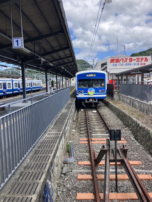 とりあえず撮ってみました