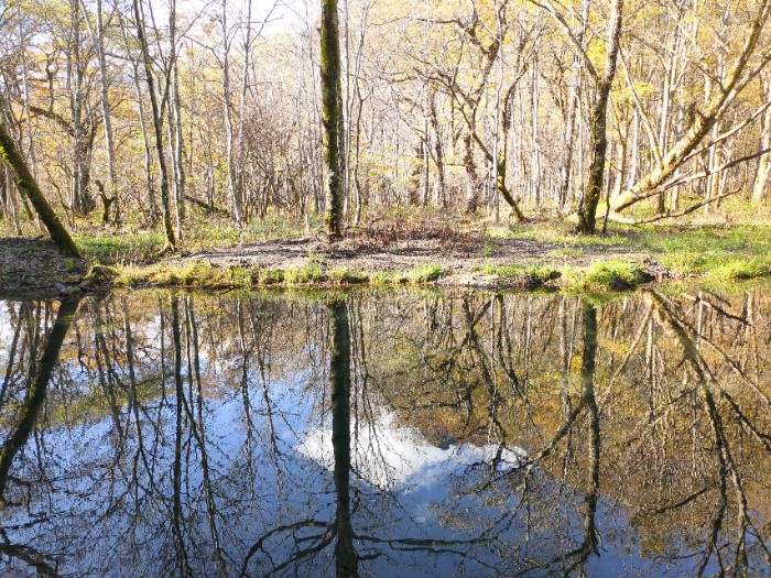 リフレクション