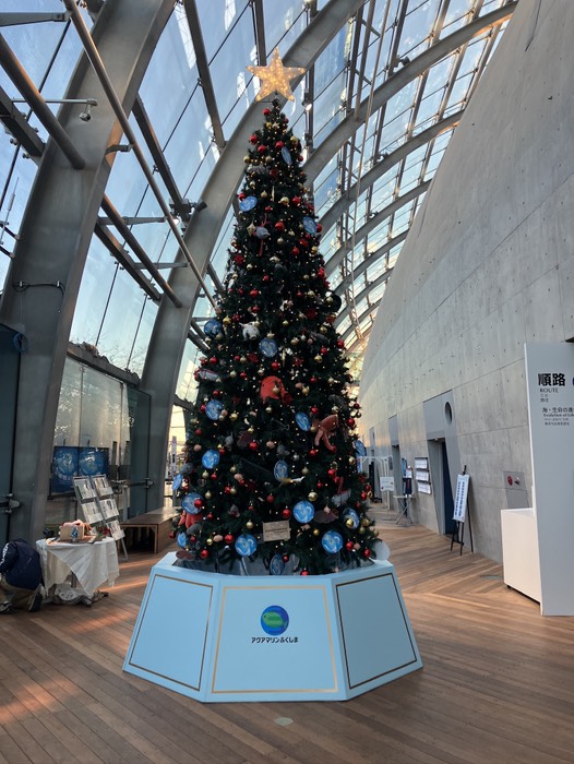 クリスマスツリー🎄