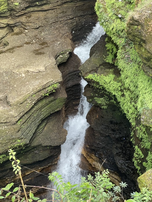 デビズフォール