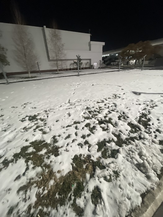 ウズベキスタンは雪☃️