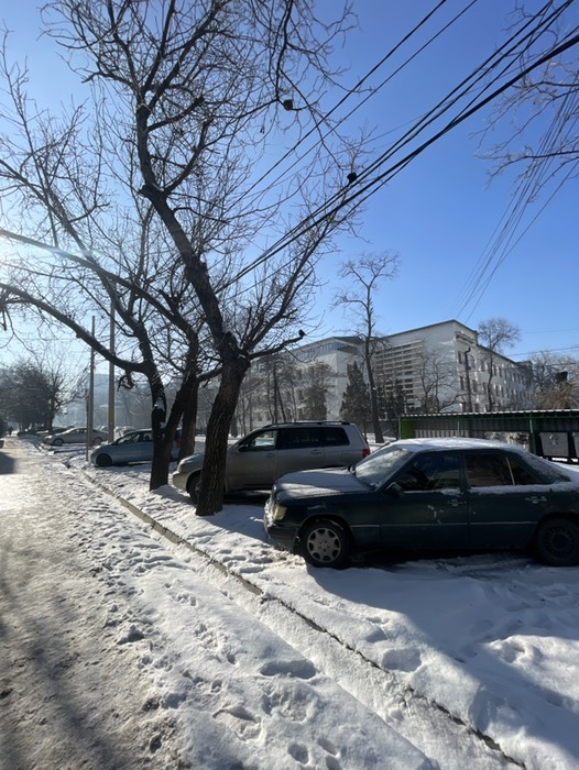 雪がまってる☃️