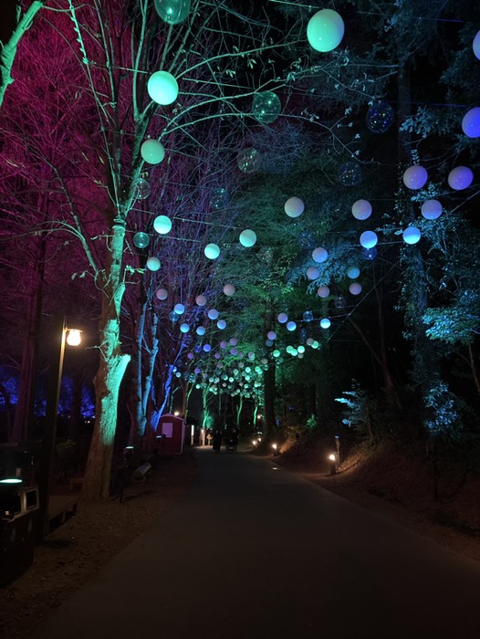 ムーミンバレーパーク15