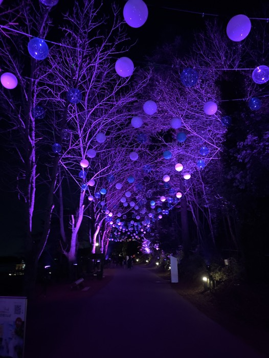 ムーミンバレーパーク16