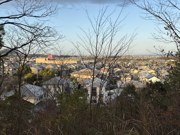 青山からの風景