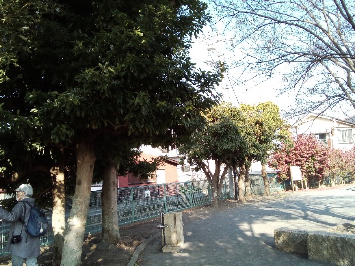 中里公園