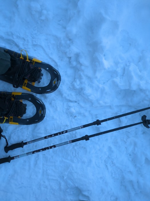 スノーシューとストック