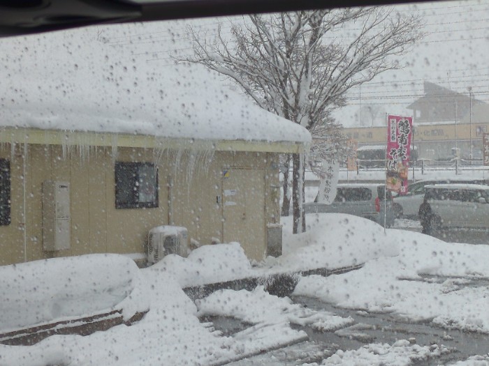 いいやま ぶなの里