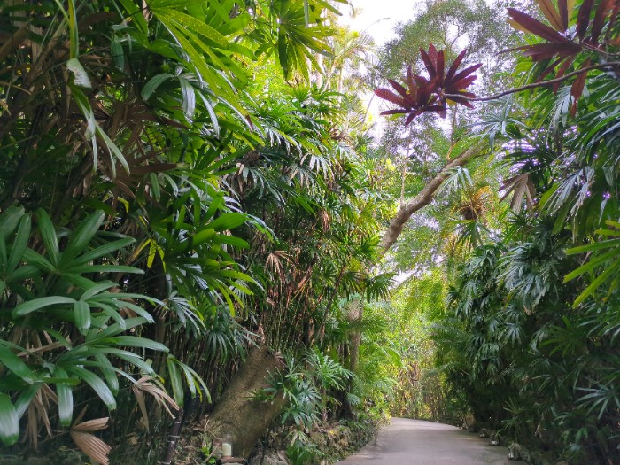 東南植物楽園 植物園
