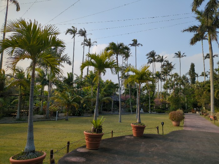 東南植物楽園 植物園