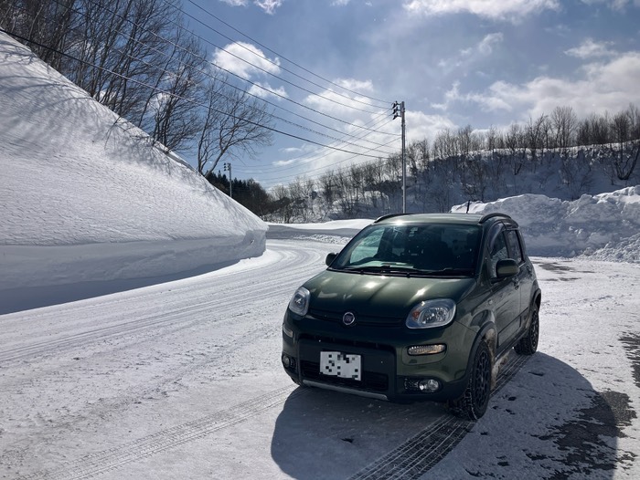 キレイに除雪されています