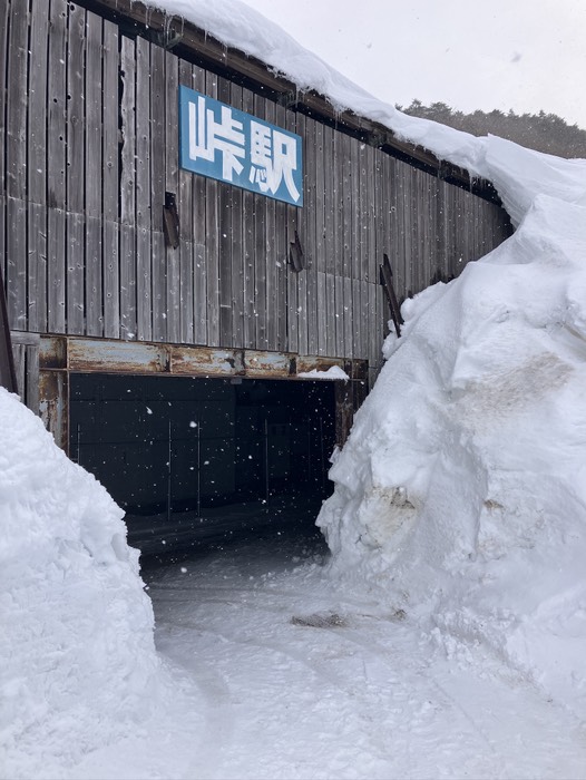 今回はかなりの雪⛄️