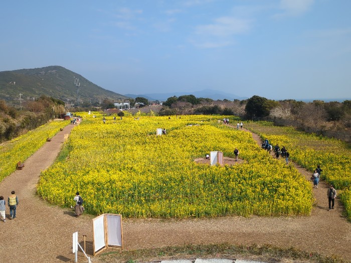 伊良湖菜の花ガーデン