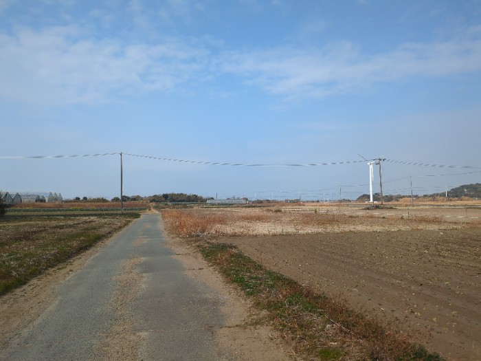 ひとりさわやかウォーキング