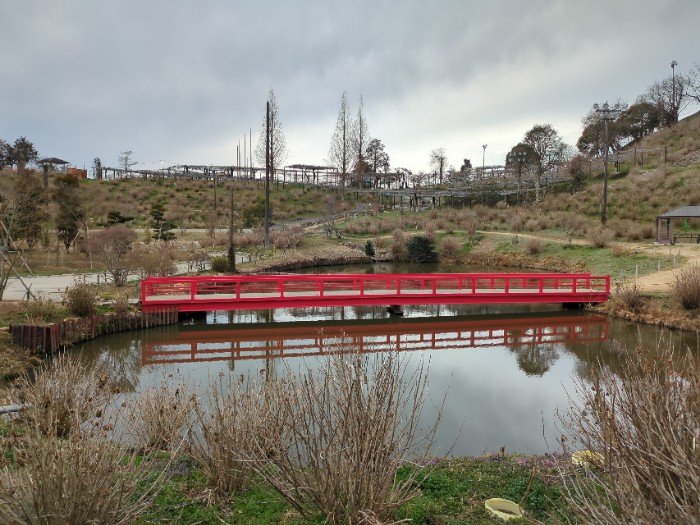 つどい橋と藤棚