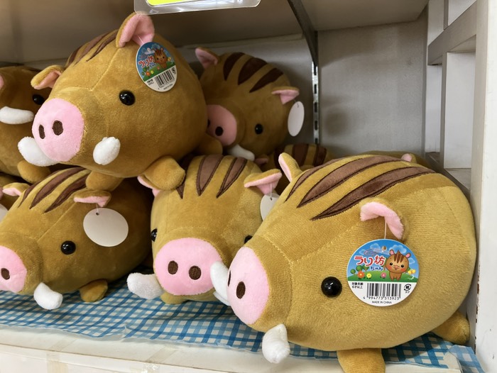 ウリ坊ぬいぐるみ！