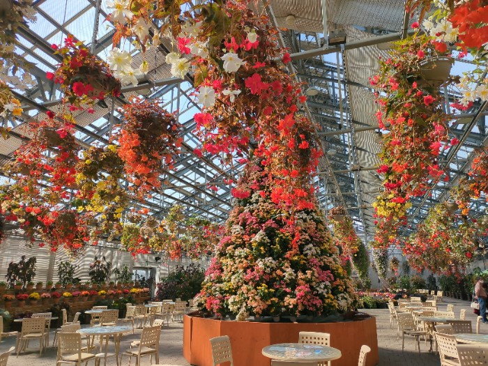 べゴニアガーデン