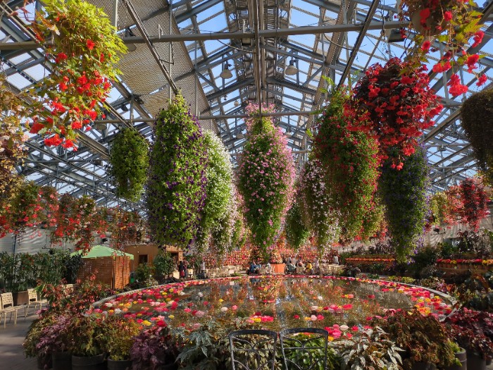 べゴニアガーデン