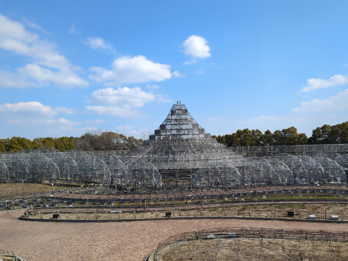 イルミネーション点灯前