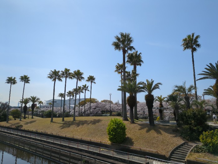 フェニックスアイランド