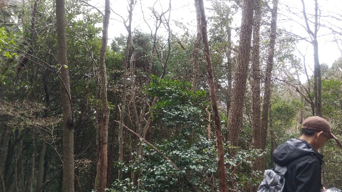  本丸から南方面