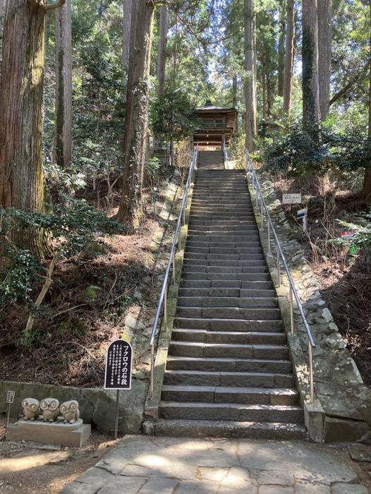 フクロウの石段