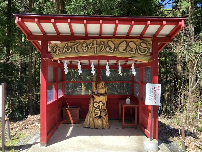 なんでも叶うふくろう🦉