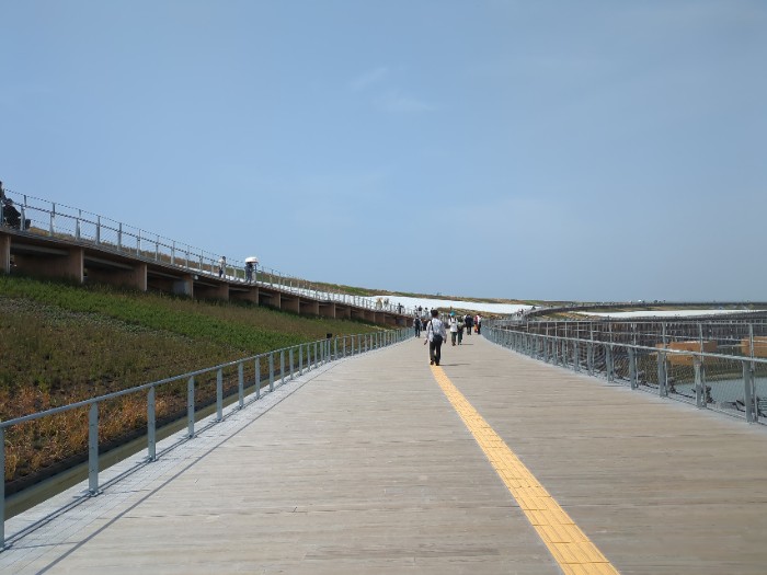 大屋根リングの上